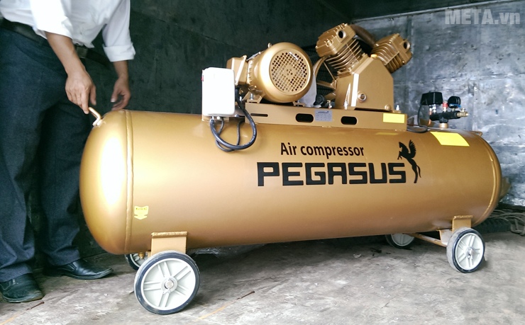 The Pegasus TM-V-0.6 / 8-330L has a large capacity of 330 liters